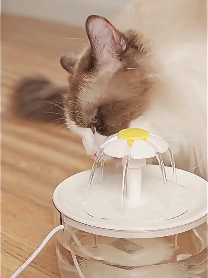 Bebedouro Automático para Gatos com Filtro de Água e Silenciador fonte de água para gatos