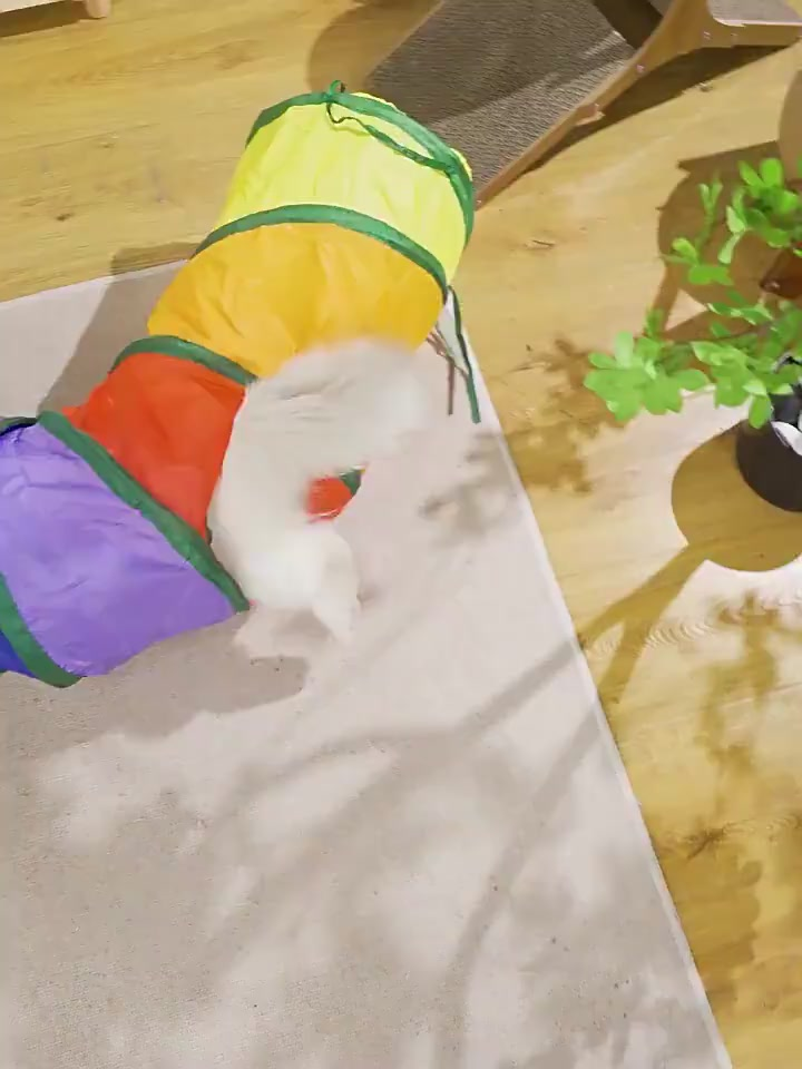 Brinquedo Para Pets Túnel Labirinto Para Gatos Colorido alta qualidade