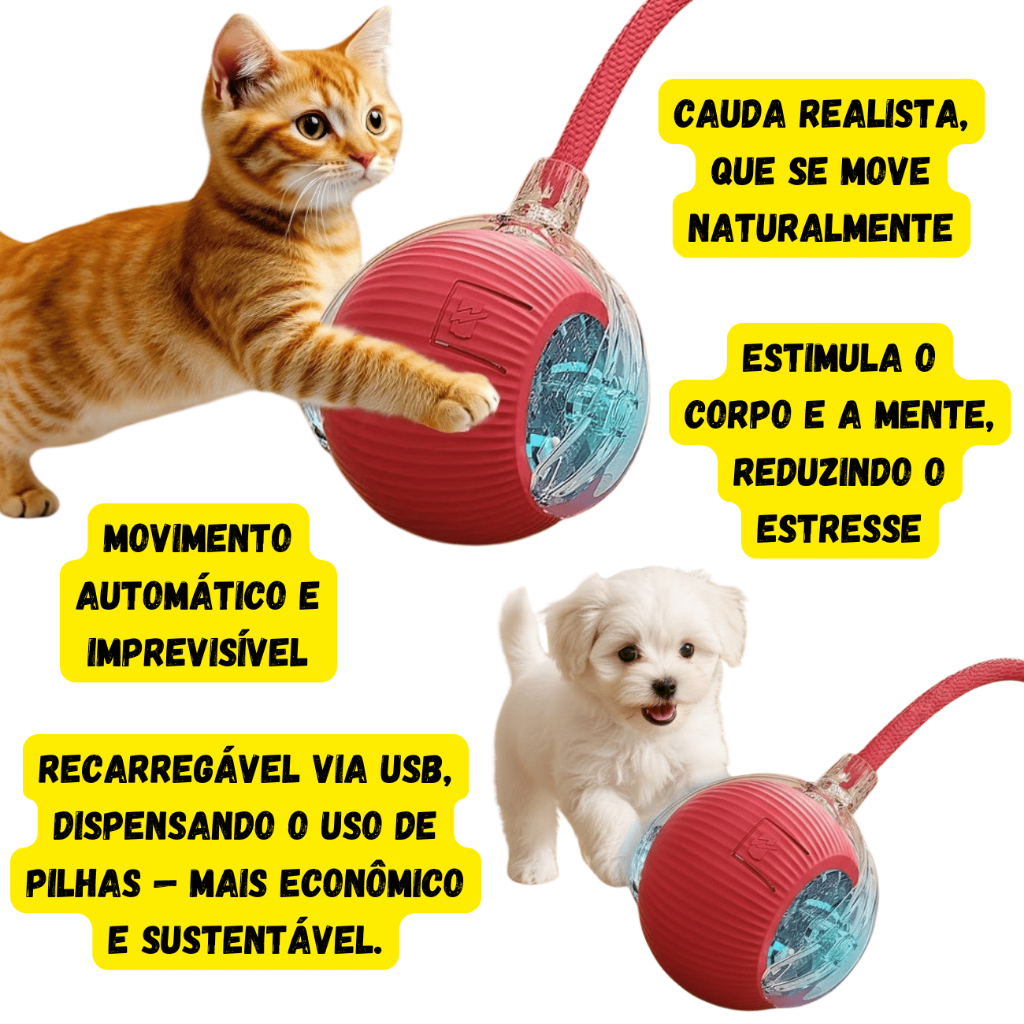 Kit 3 Bolinhas Eletrônica Interativa Pet Gato Cachorro Brinquedo Inteligente Cães Bola Automática